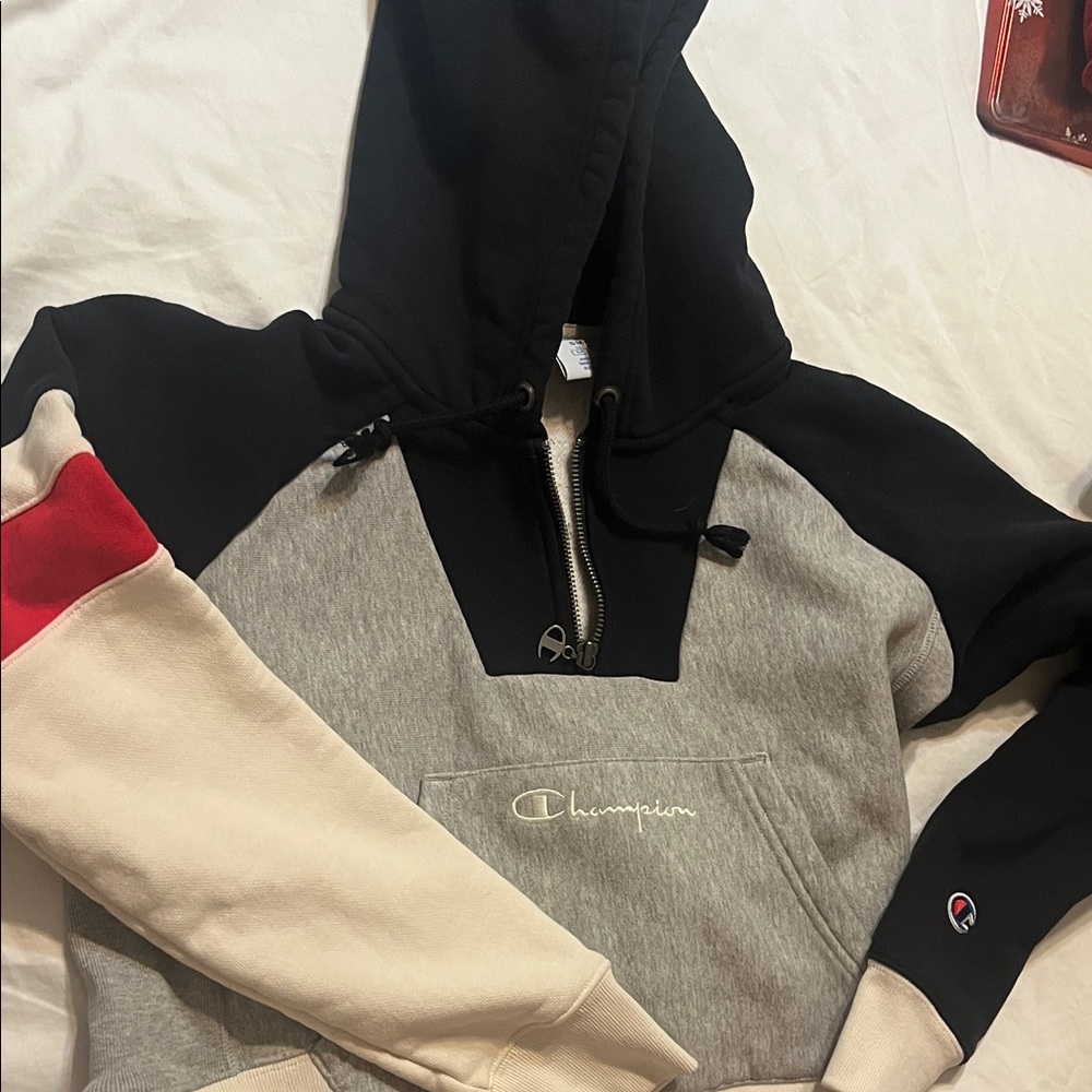 Champion Multicolor Hoodie with Logo